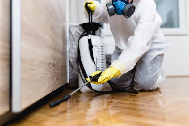 Best Local Pest Control Services  in North Granby, CT