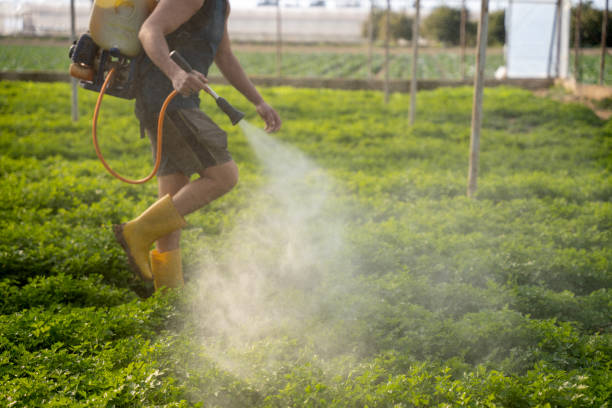 Best Best Pest Control Companies  in North Granby, CT