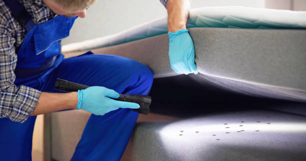 Best Flea Control Services  in North Granby, CT