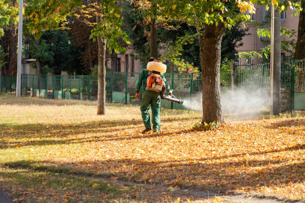 Best Commercial Pest Control Services  in North Granby, CT