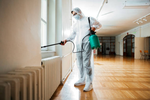Best Affordable Pest Control Services  in North Granby, CT