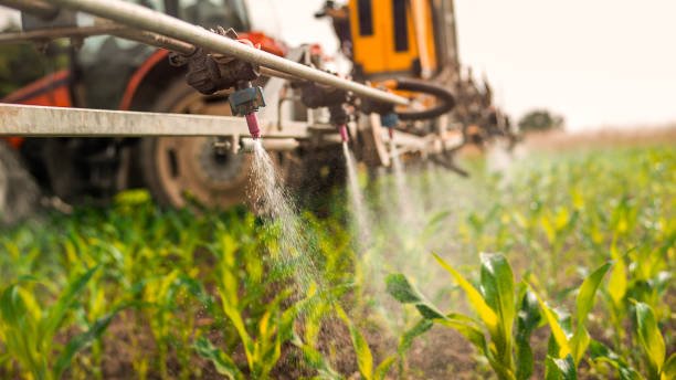 Best Ant Control Services  in North Granby, CT