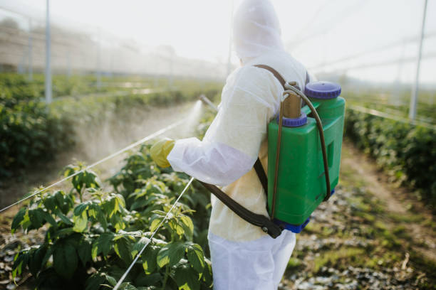 Best Residential Pest Control  in North Granby, CT